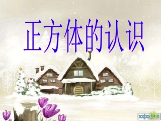 _正方体的认识