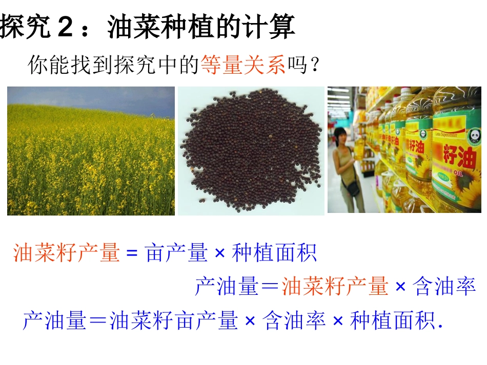 油菜种植的计算_第3页