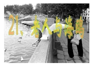 老人与海鸥课件 (3)