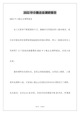 2024中小微企业调研报告