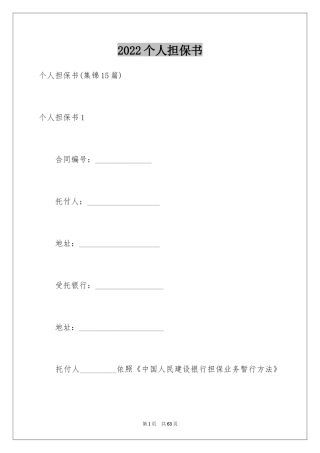 2024个人担保书
