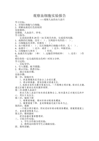 用显微镜观察人血的永久涂片