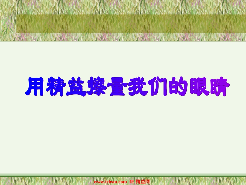 用精益擦量我们的眼睛(ppt-91)_第1页