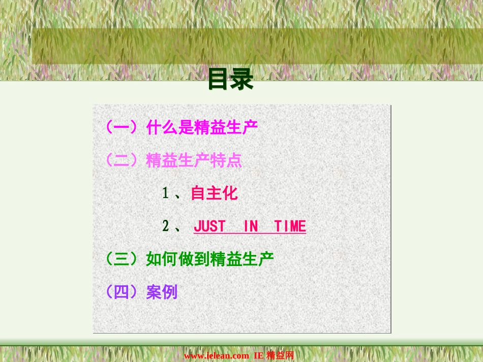 用精益擦量我们的眼睛(ppt-91)_第2页