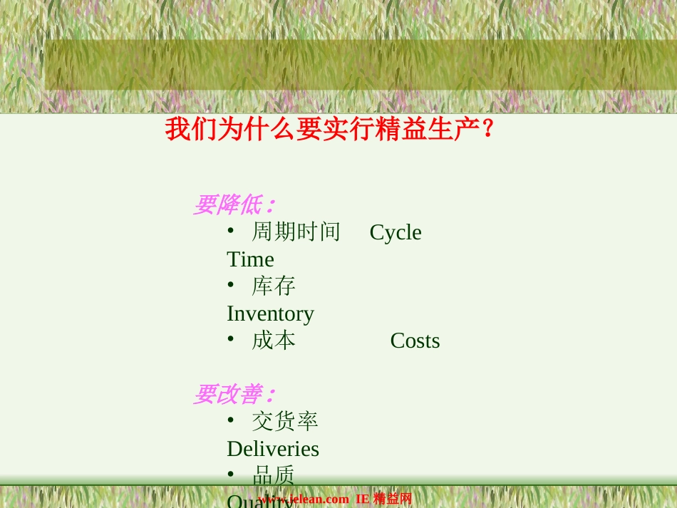 用精益擦量我们的眼睛(ppt-91)_第3页