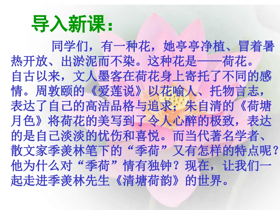 《清塘荷韵》课件1_第1页