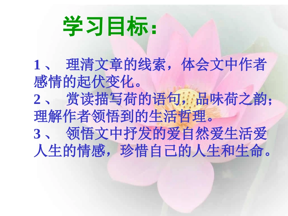 《清塘荷韵》课件1_第2页