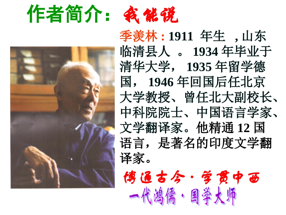 《清塘荷韵》课件1_第3页