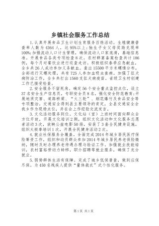 乡镇社会服务工作总结