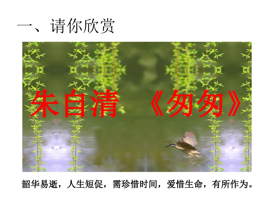 珍爱生命ppt_第2页