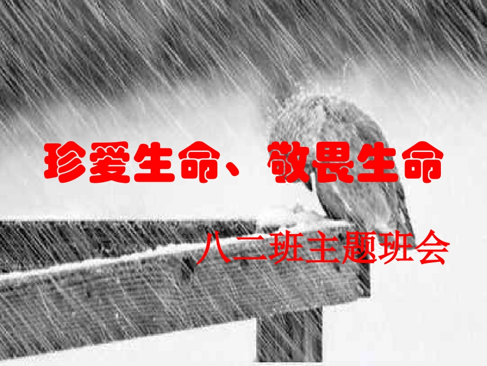 珍爱生命-敬畏生命_第1页