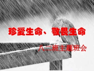 珍爱生命-敬畏生命