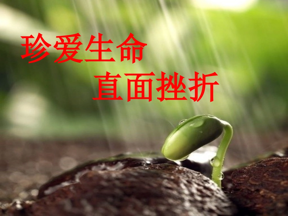 珍爱生命-直面挫折(最后)_第1页