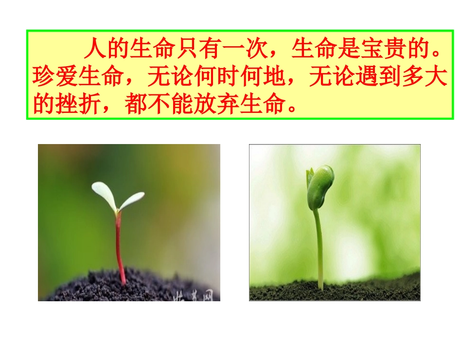 珍爱生命-直面挫折(最后)_第3页