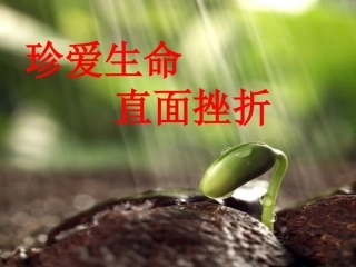 珍爱生命-直面挫折(最后)