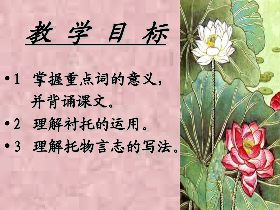 语文-《爱莲说》3-汪升旭_第3页