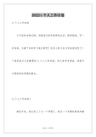 2024it个人工作计划_1