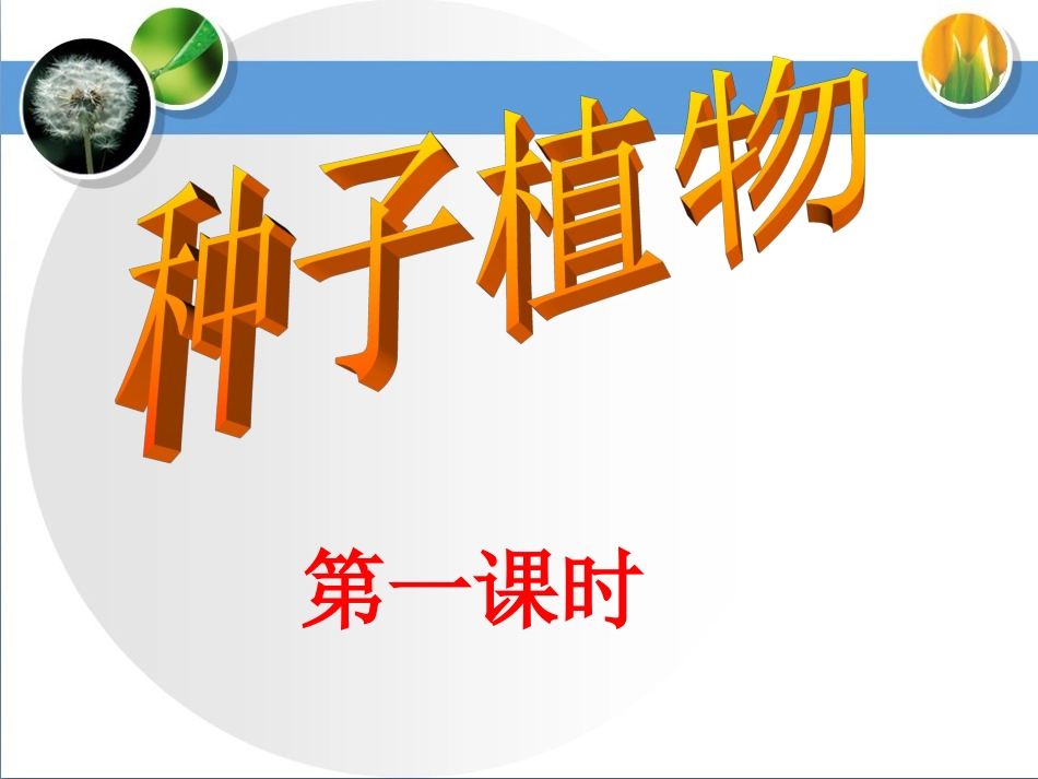 种子植物第一课时参考课件_第1页