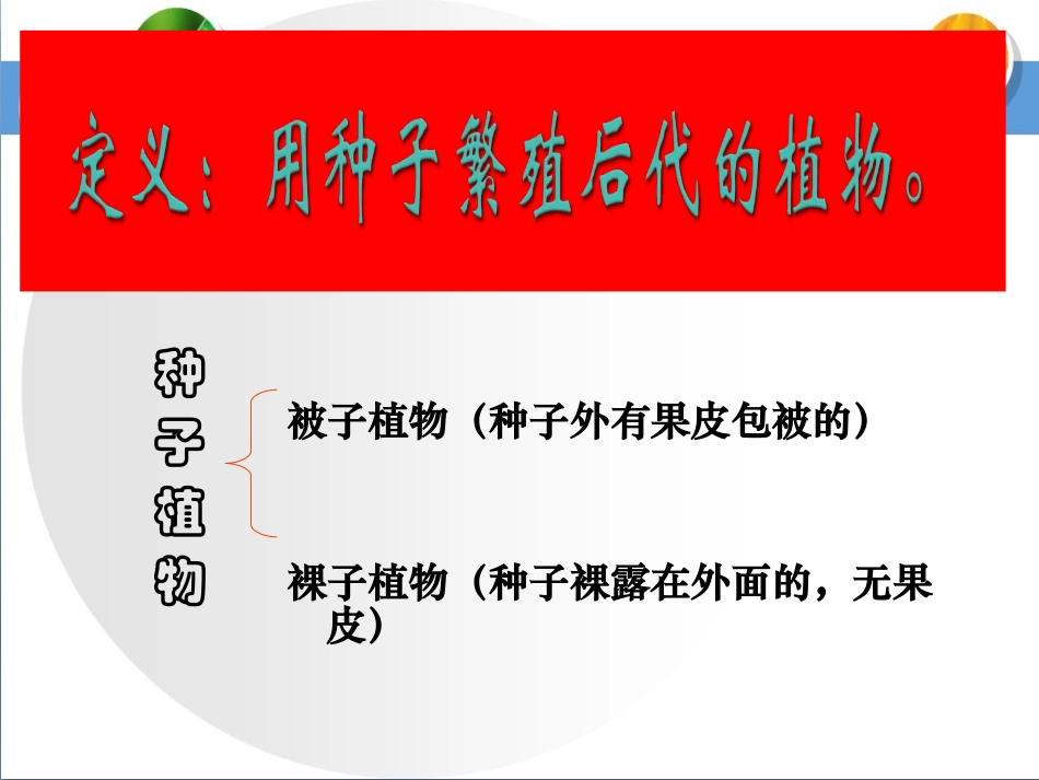 种子植物第一课时参考课件_第3页