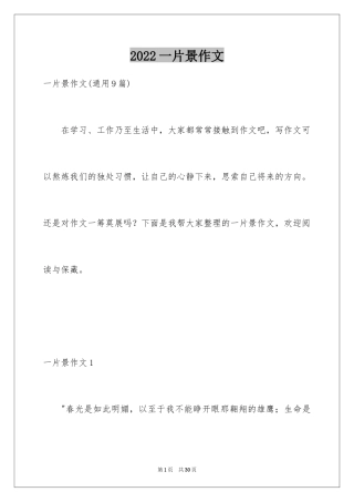 2024一片景作文_3