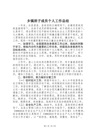 乡镇班子成员个人工作总结