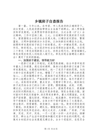 乡镇班子自查报告