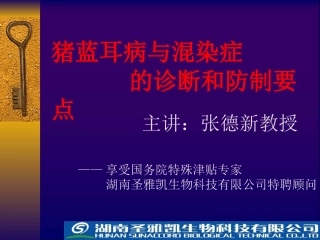 猪蓝耳病与混染症