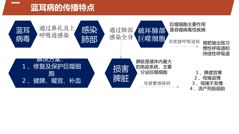 猪繁殖与呼吸综合症_第3页