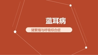 猪繁殖与呼吸综合症