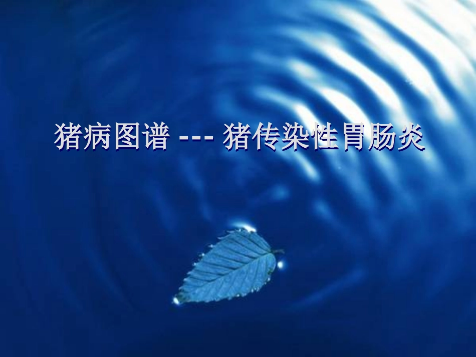 猪病图谱---猪传染性胃肠炎_第1页