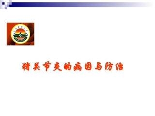 猪关节炎的病因与防治