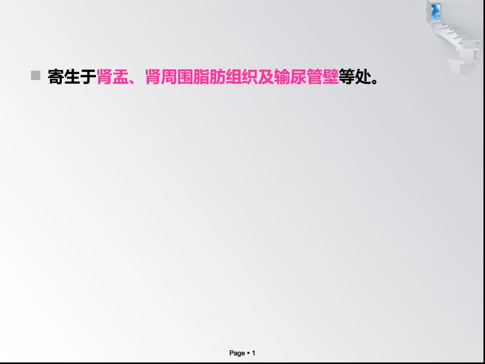 猪冠尾线虫病_第1页