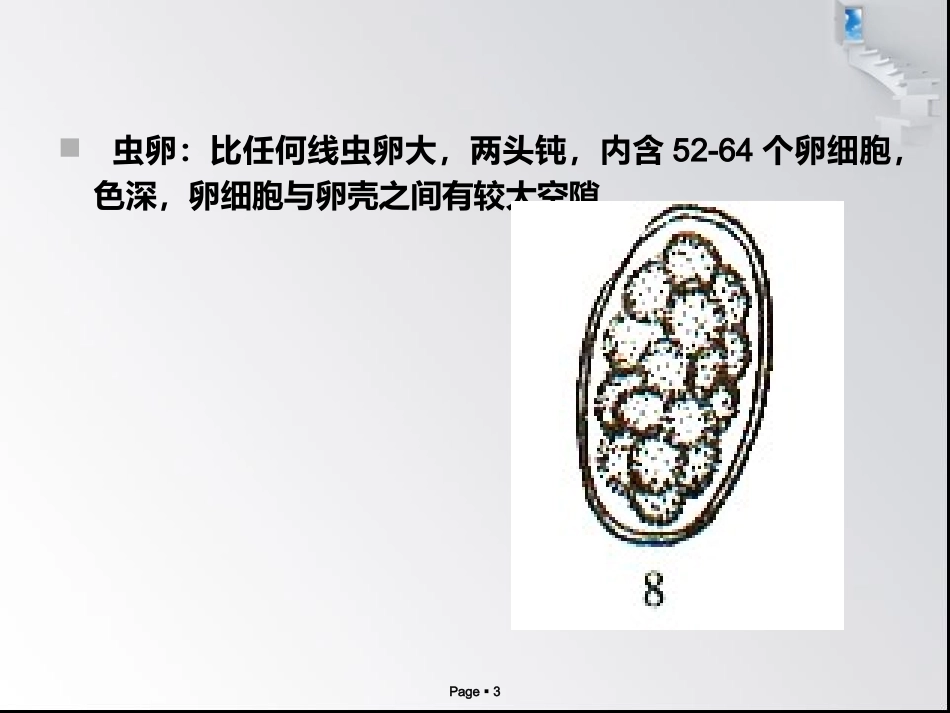 猪冠尾线虫病_第3页