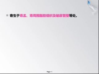 猪冠尾线虫病