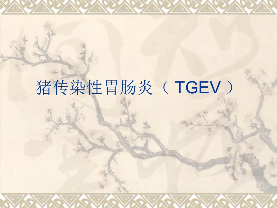 猪传染性胃肠炎(---副本_第1页