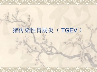 猪传染性胃肠炎(---副本