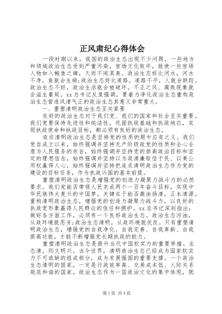 正风肃纪心得体会 