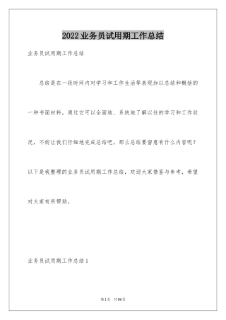 2024业务员试用期工作总结