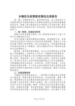 乡镇民生政策落实情况自查报告