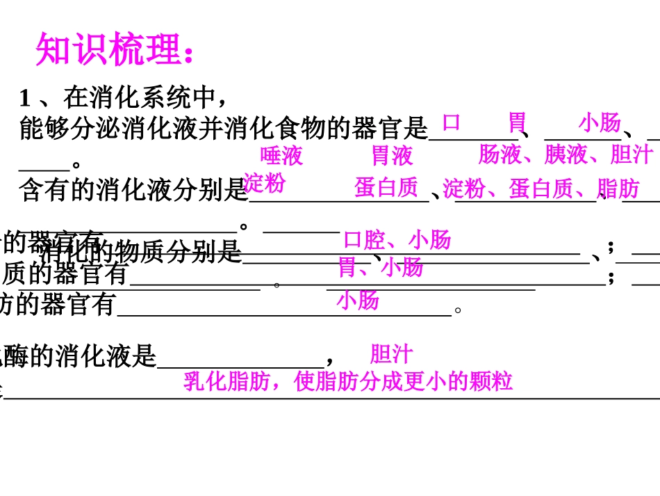 淀粉的消化是从_第2页