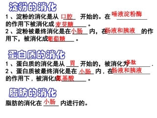 淀粉的消化是从