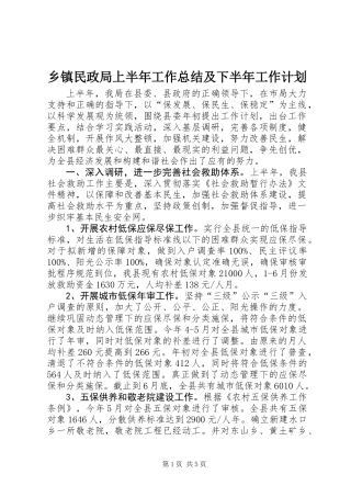 乡镇民政局上半年工作总结及下半年工作计划