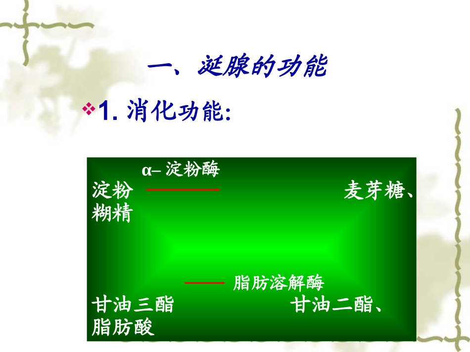 涎腺的功能与增龄变化_第3页