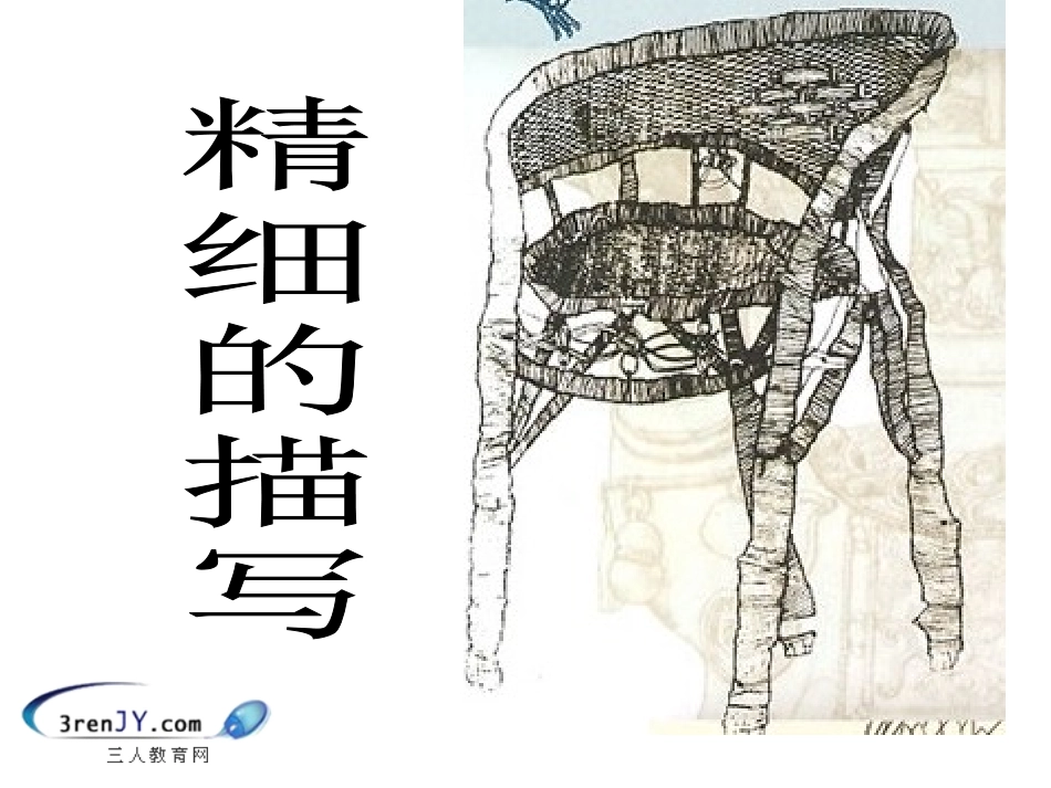 五年级美术下册《精细的描写》_第1页