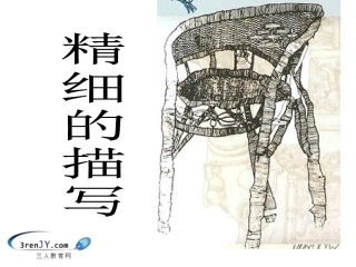 五年级美术下册《精细的描写》