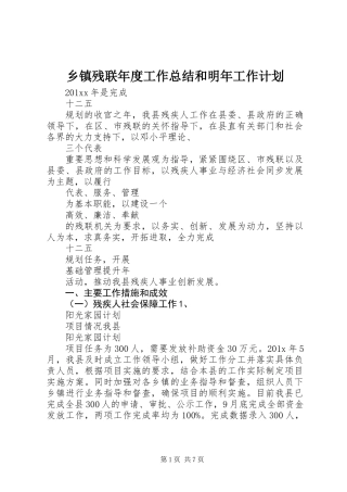 乡镇残联年度工作总结和明年工作计划