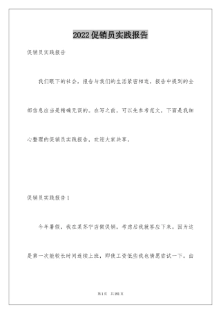 2024促销员实践报告