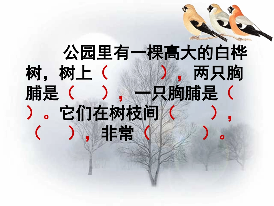 《灰雀T课件_第2页