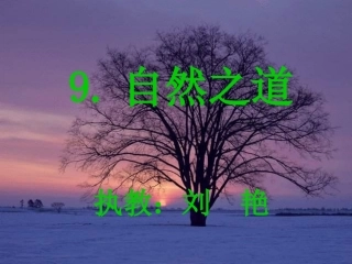 《自然之道》刘艳