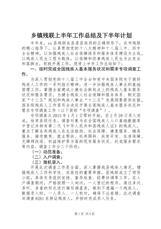 乡镇残联上半年工作总结及下半年计划 (2)